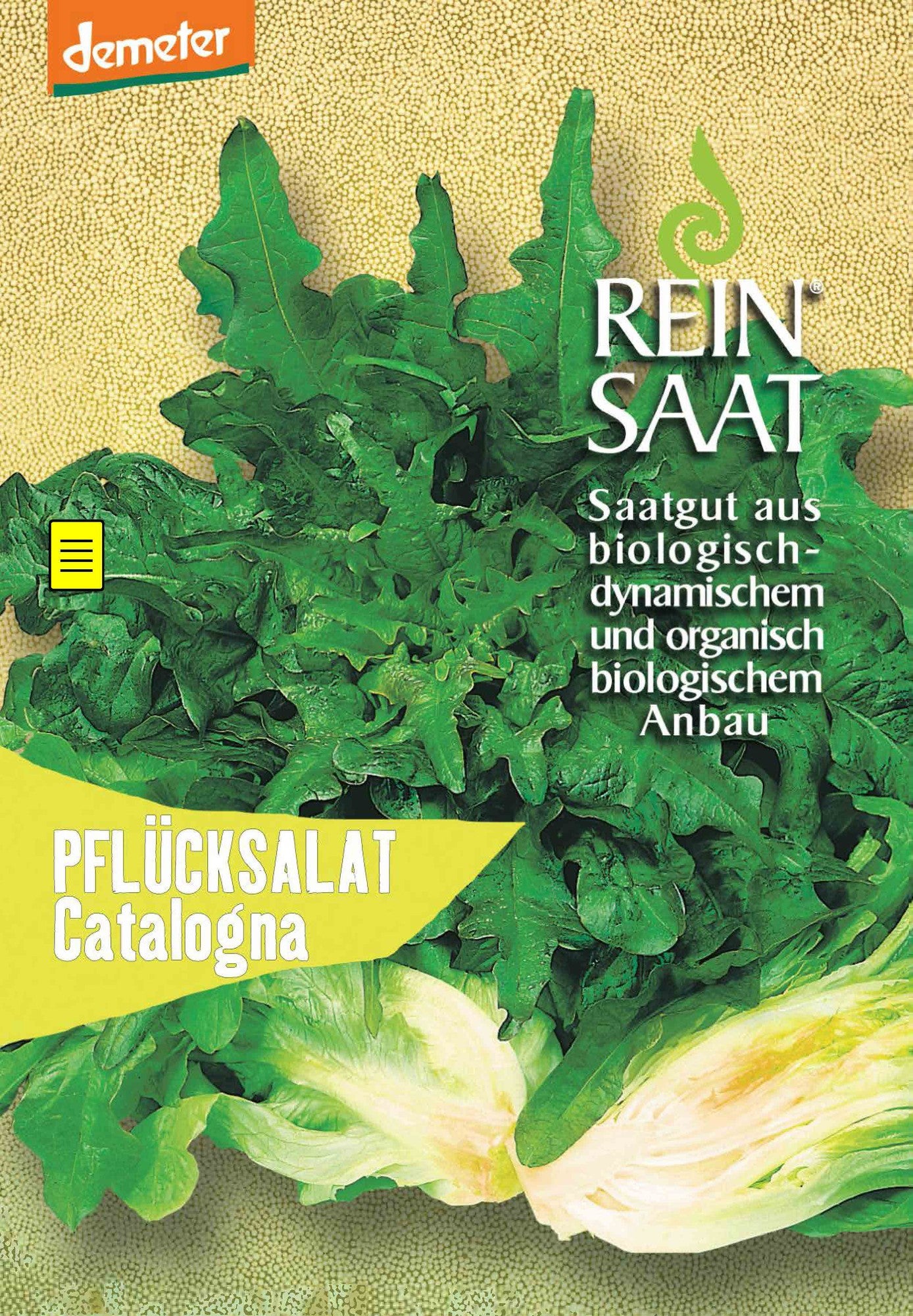 Artikelbild 1 von "BIO Pflücksalat Catalogna" aus der Kategorie Pflücksalatsamen