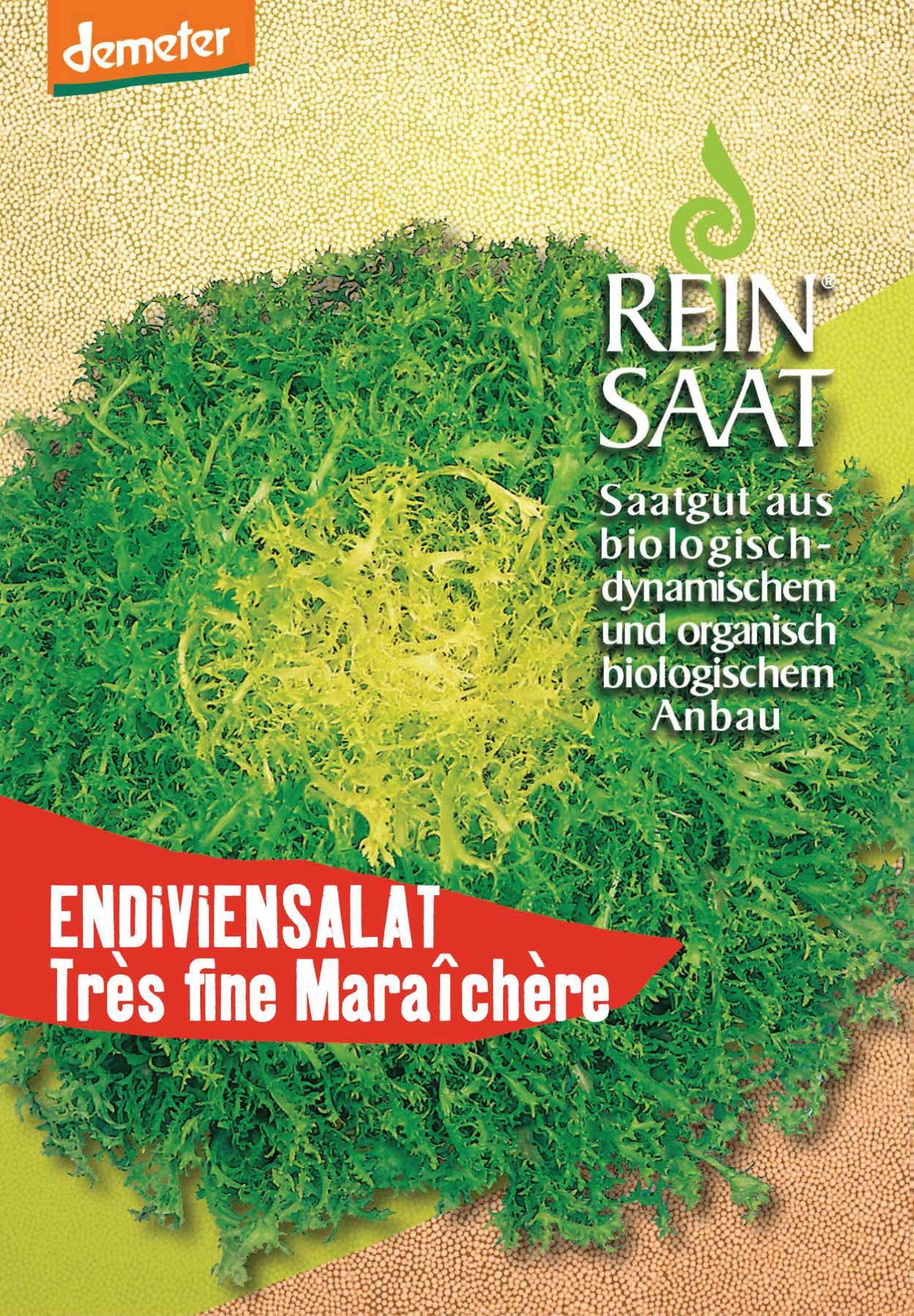 Artikelbild 1 von "BIO Endivie Tres Fine maraichère" aus der Kategorie Endiviensalatsamen