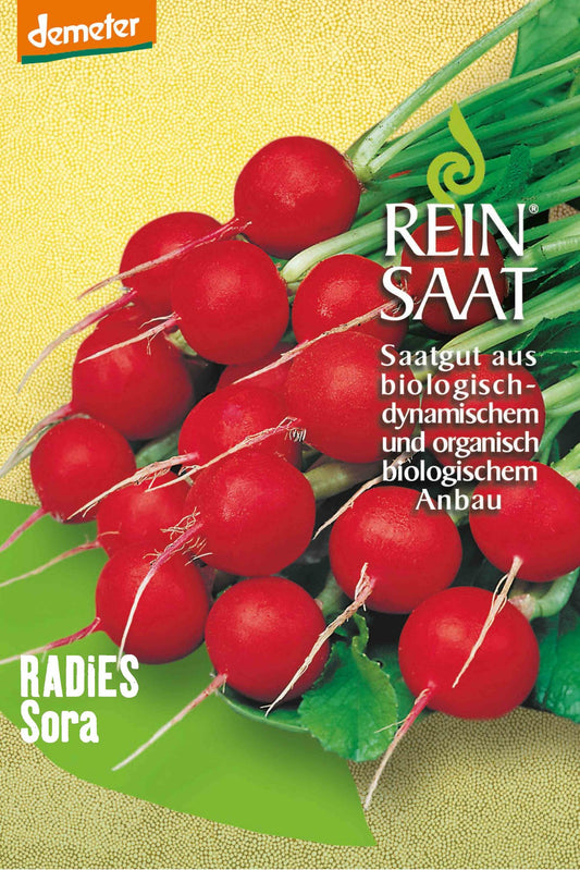 Artikelbild 1 von "BIO Radies Sora" aus der Kategorie Radieschensamen