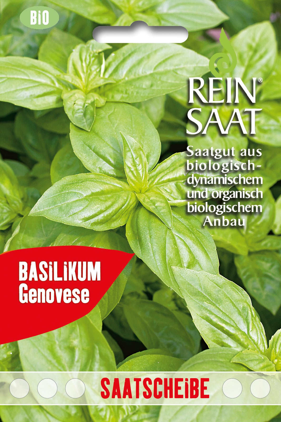Artikelbild 1 von "BIO Basilikum Genovese" aus der Kategorie Basilikumsamen