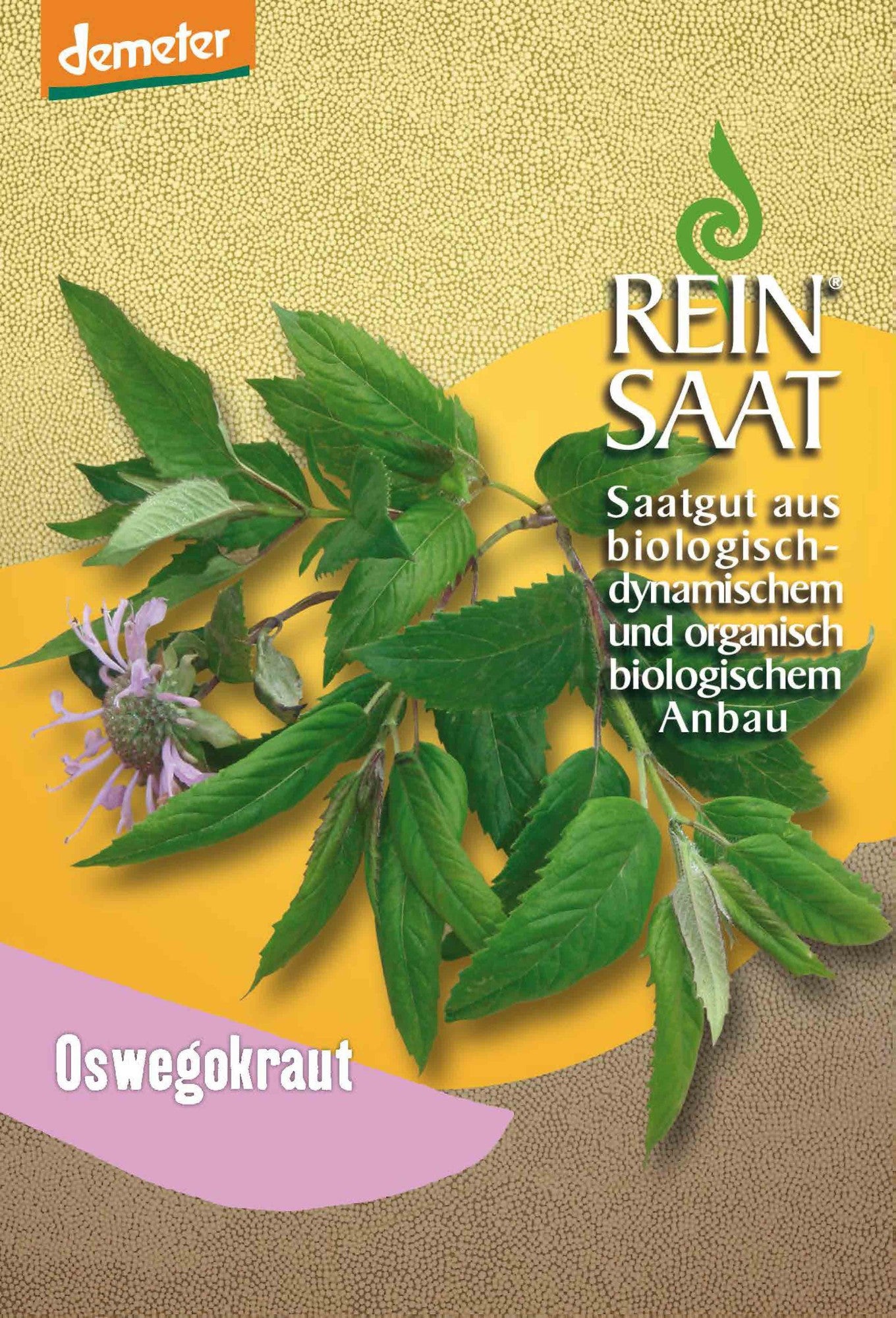Artikelbild 1 von "BIO Oswegokraut [MHD 12/2025]" aus der Kategorie Kräutersamen