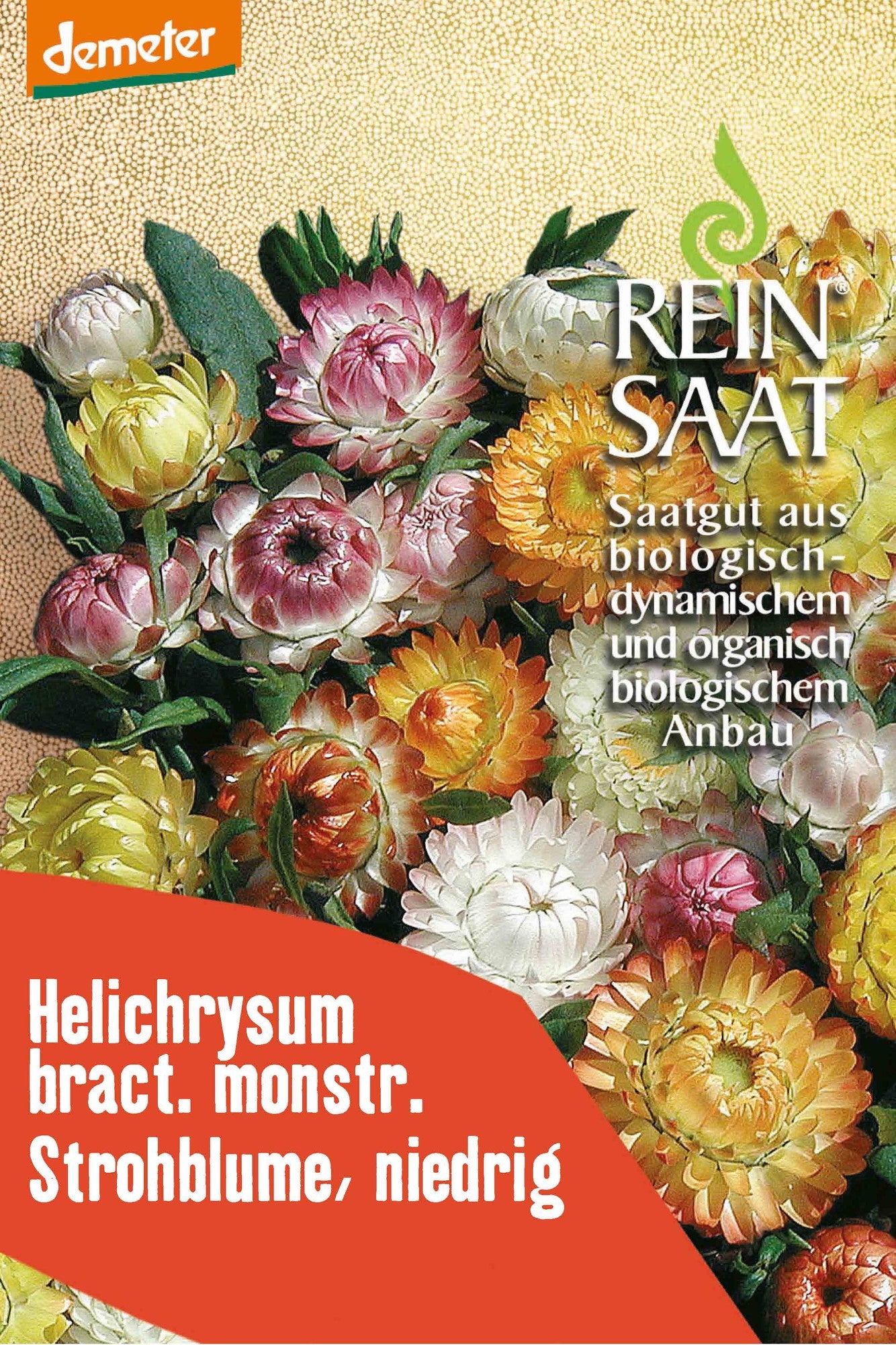 Artikelbild 1 von "BIO Strohblume niedrige" aus der Kategorie Strohblumensamen