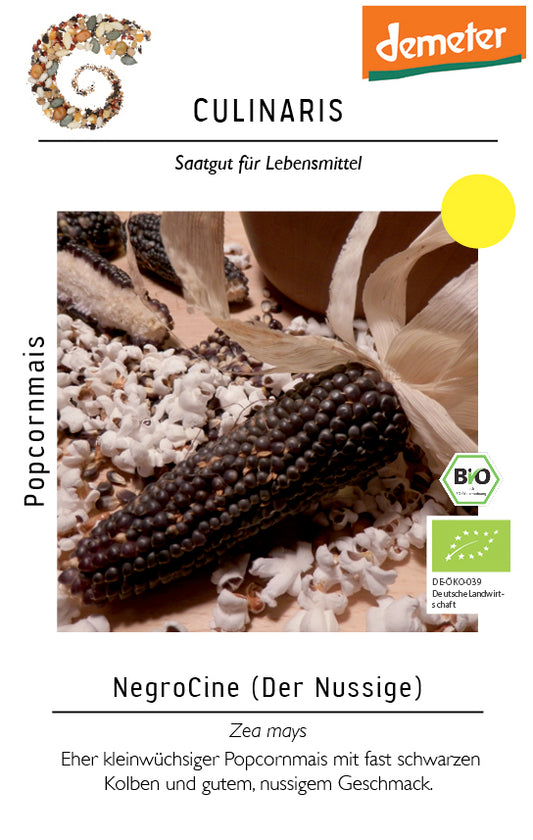 Popcornmais NegroCine | BIO Popcornmaissamen von Culinaris