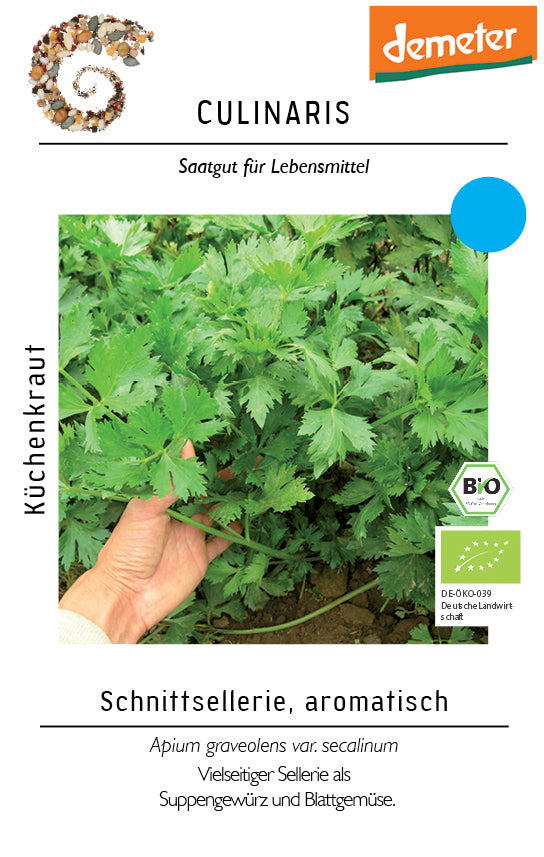 Artikelbild 1 von "BIO Schnittsellerie, aromatisch [MHD 01/2026]"