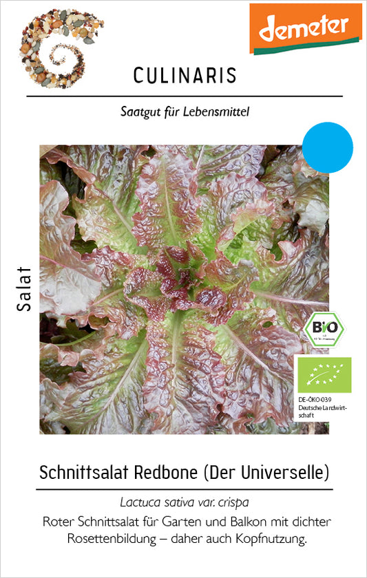 Artikelbild 2 von "BIO Schnittsalat Redbone [MHD 06/2024]" aus der Kategorie Salatsamen