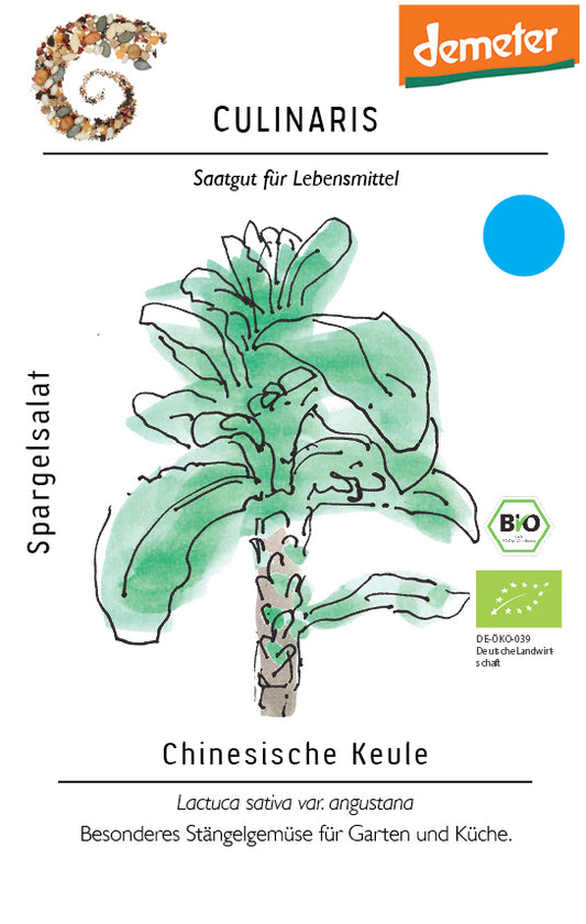 Artikelbild 1 von "BIO Spargelsalat Chinesische Keule" aus der Kategorie Salatsamen