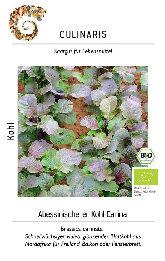 Artikelbild 1 von "BIO Abessinischerer Kohl Carina" aus der Kategorie Kohlsamen
