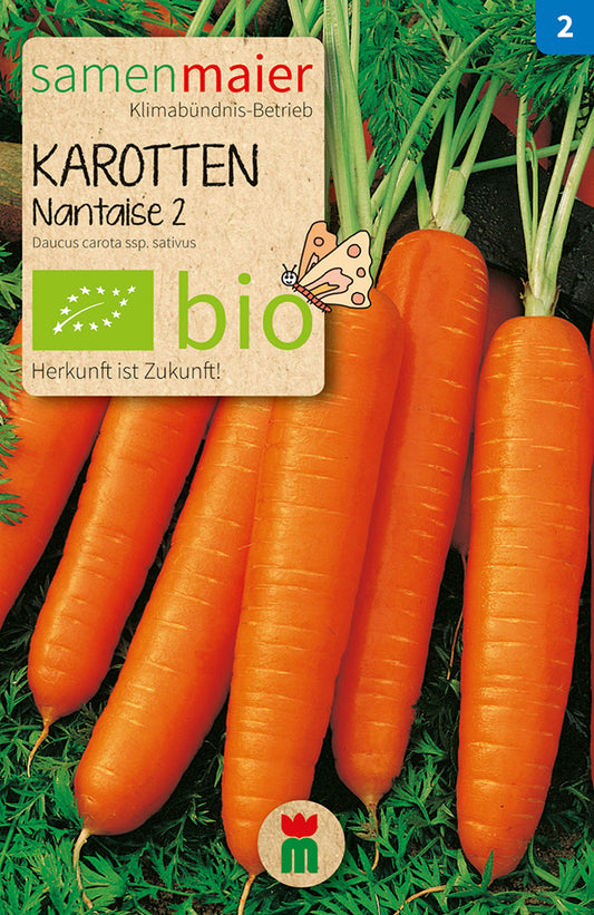 Artikelbild 1 von "BIO Möhre Nantaise 2" aus der Kategorie Möhrensamen