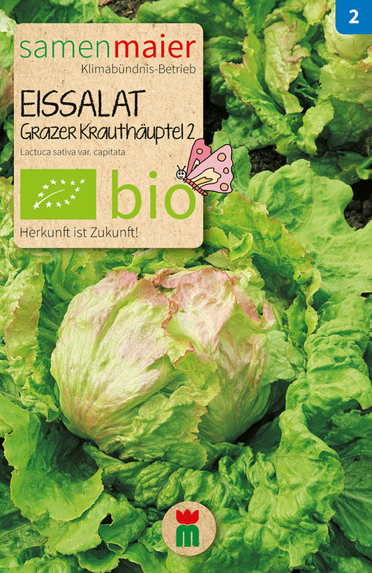 Artikelbild 1 von "BIO Eissalat Grazer Krauthäuptel 2" aus der Kategorie Eissalatsamen