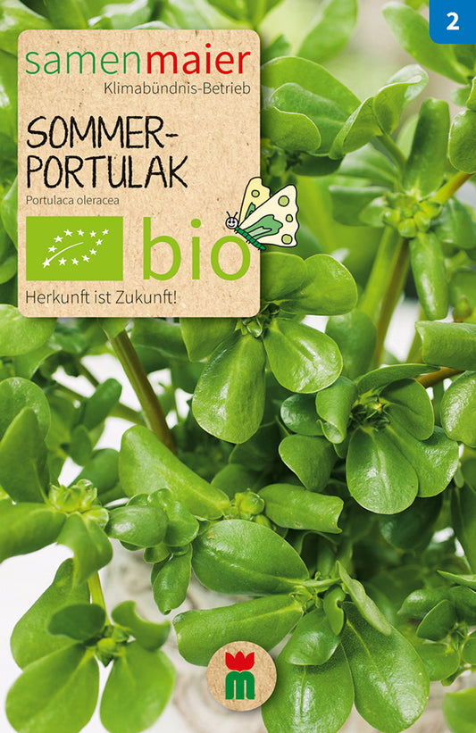 Sommer-Portulak | BIO Portulaksamen von Samen Maier