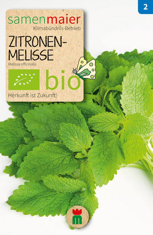 Artikelbild 1 von "BIO Zitronenmelisse mehrjährig" aus der Kategorie Melissensamen