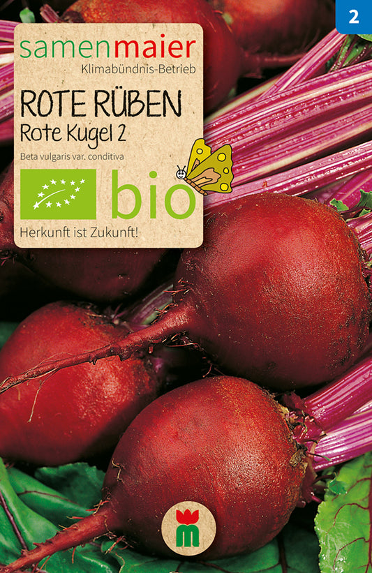 Artikelbild 1 von "BIO Rote Rübe Rote Kugel 2" aus der Kategorie Rübensamen