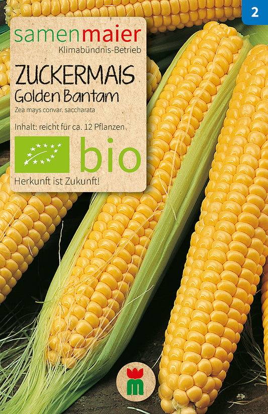 Artikelbild 1 von "BIO Zuckermais Golden Bantam" aus der Kategorie Maissamen