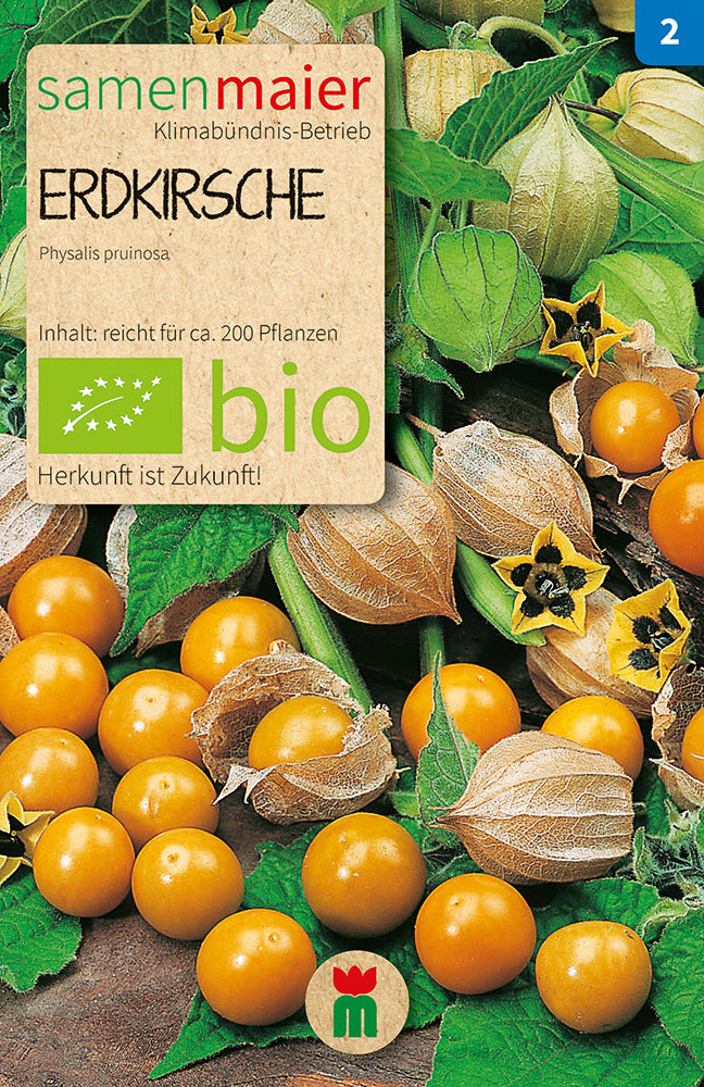 Artikelbild 1 von "BIO Erdkirsche" aus der Kategorie Andenbeerensamen