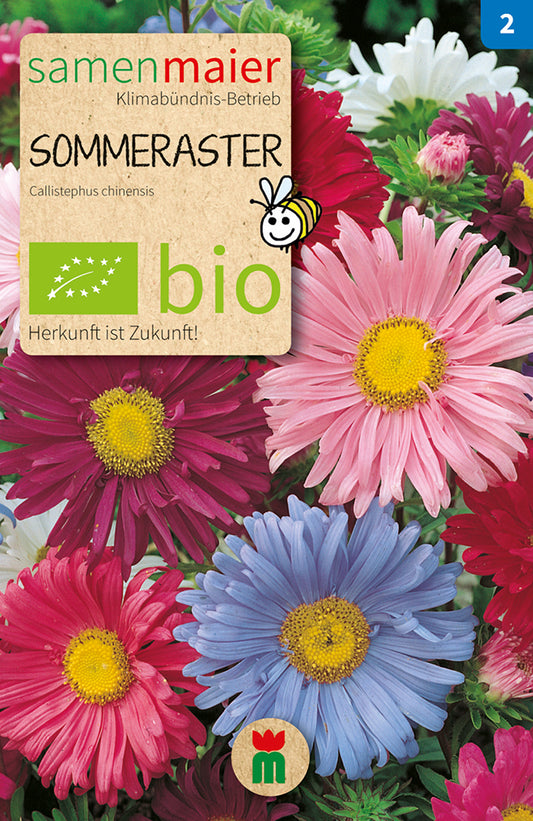 Sommeraster einfache Mischung | BIO Asternsamen von Samen Maier