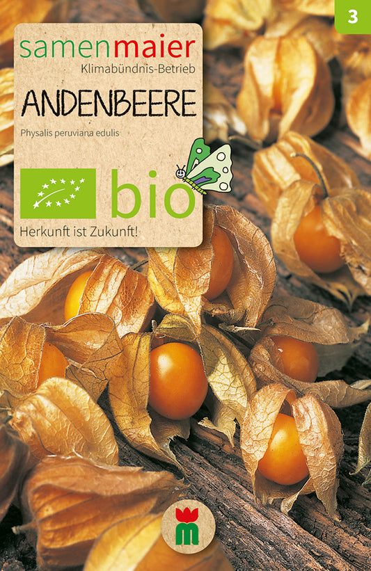 Artikelbild 1 von "BIO Andenbeere" aus der Kategorie Andenbeerensamen