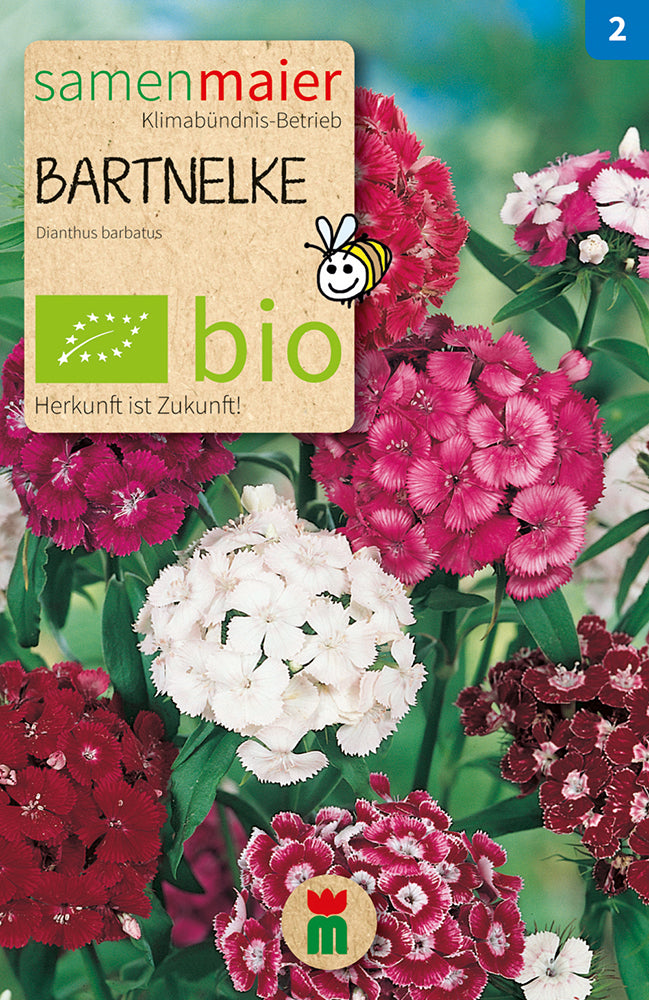 Artikelbild 1 von "BIO Bartnelke einfach Mischung" aus der Kategorie Nelkensamen