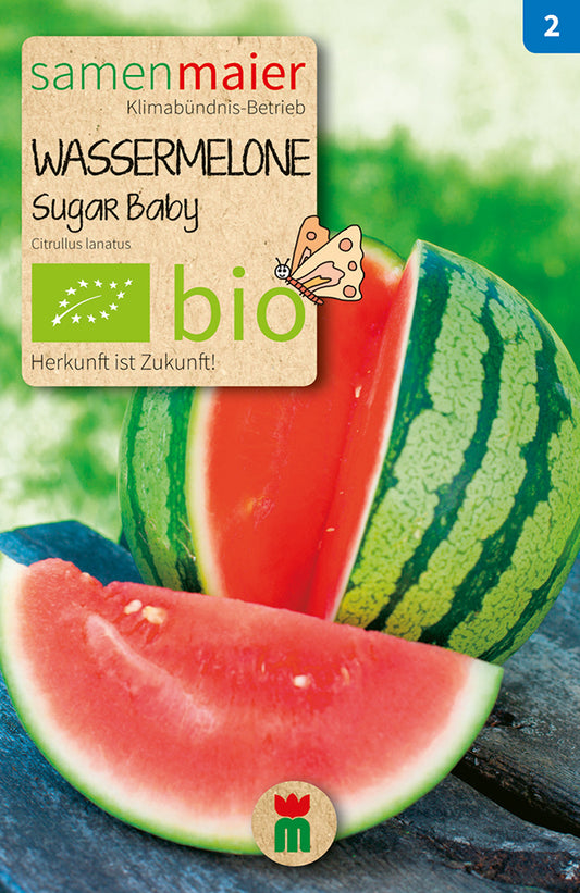 Wassermelone Sugar Baby | BIO Wassermelonensamen von Samen Maier