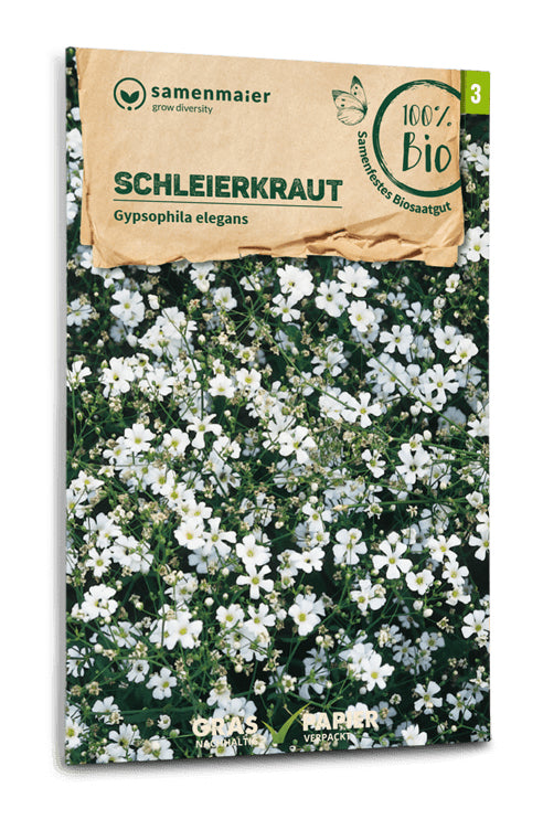 Schleierkraut einfache weiß | BIO Blumensamen von Samen Maier