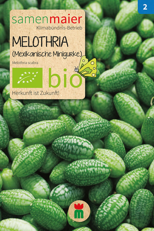 Melothria (Mexikan. Minigurke) | BIO Minigurkensamen von Samen Maier