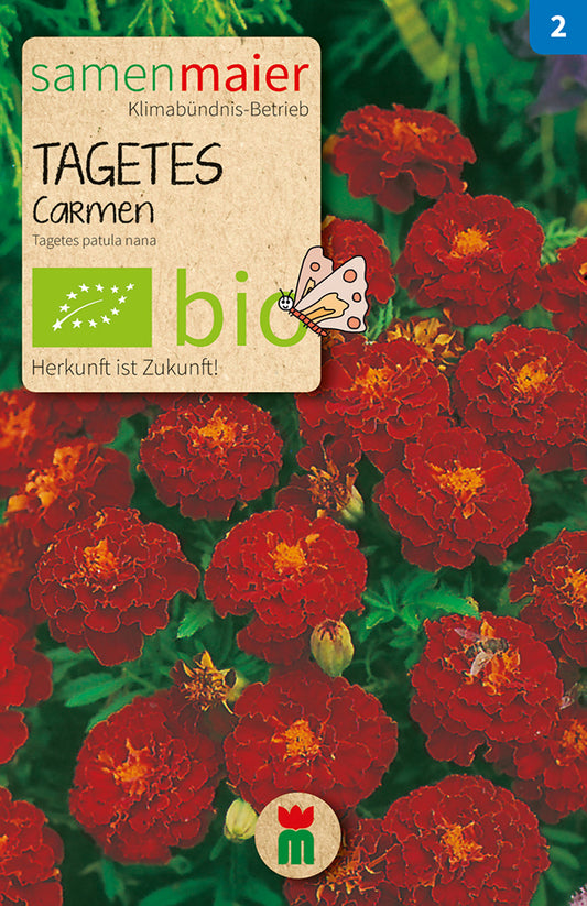 Artikelbild 1 von "BIO Tagetes Carmen" aus der Kategorie Studentenblumensamen