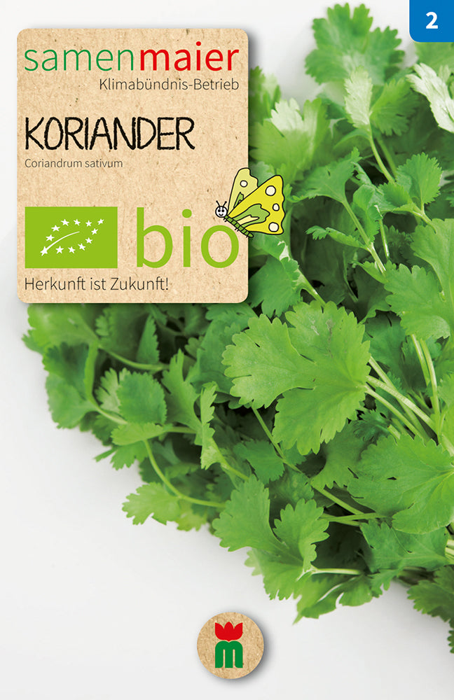 Artikelbild 1 von "BIO Blattkoriander Gewürzkr. einjährig" aus der Kategorie Koriandersamen
