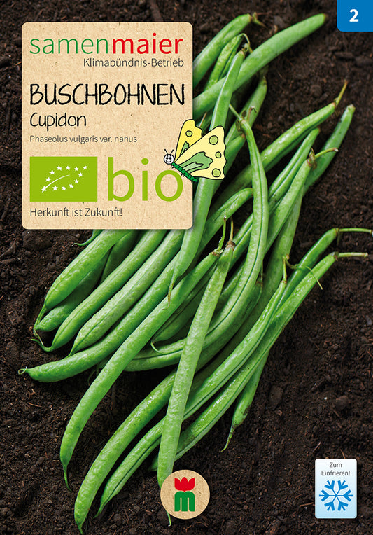 Buschbohne Filetbohne Cupidon | BIO Buschbohnensamen von Samen Maier