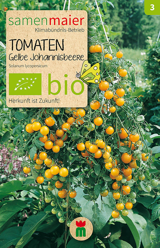 Artikelbild 1 von "BIO Tomaten Gelbe Johannisbeere" aus der Kategorie Kirschtomatensamen