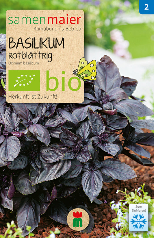 Artikelbild 1 von "BIO Basilikum rotblättrig einjährig" aus der Kategorie Basilikumsamen
