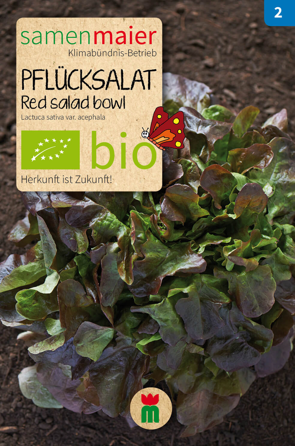 Artikelbild 4 von "BIO Beet-Box "Für Balkonien-Urlauber"" aus der Kategorie Gemüsesamen-Sets