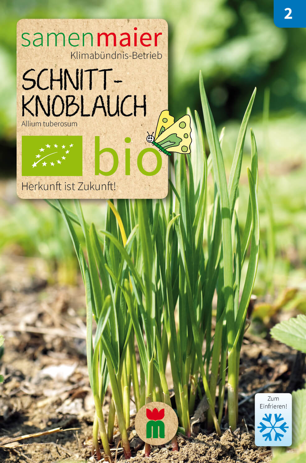 Artikelbild 5 von "BIO Beet-Box "Alles Gute zum Geburtstag"" aus der Kategorie Gemüsesamen-Sets