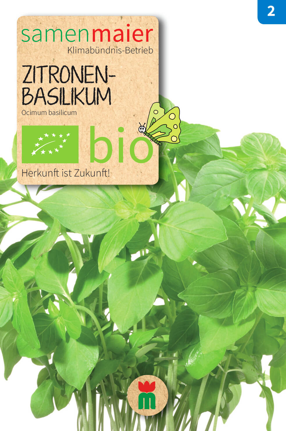 Artikelbild 6 von "BIO Beet-Box "Alles Gute zum Geburtstag"" aus der Kategorie Gemüsesamen-Sets