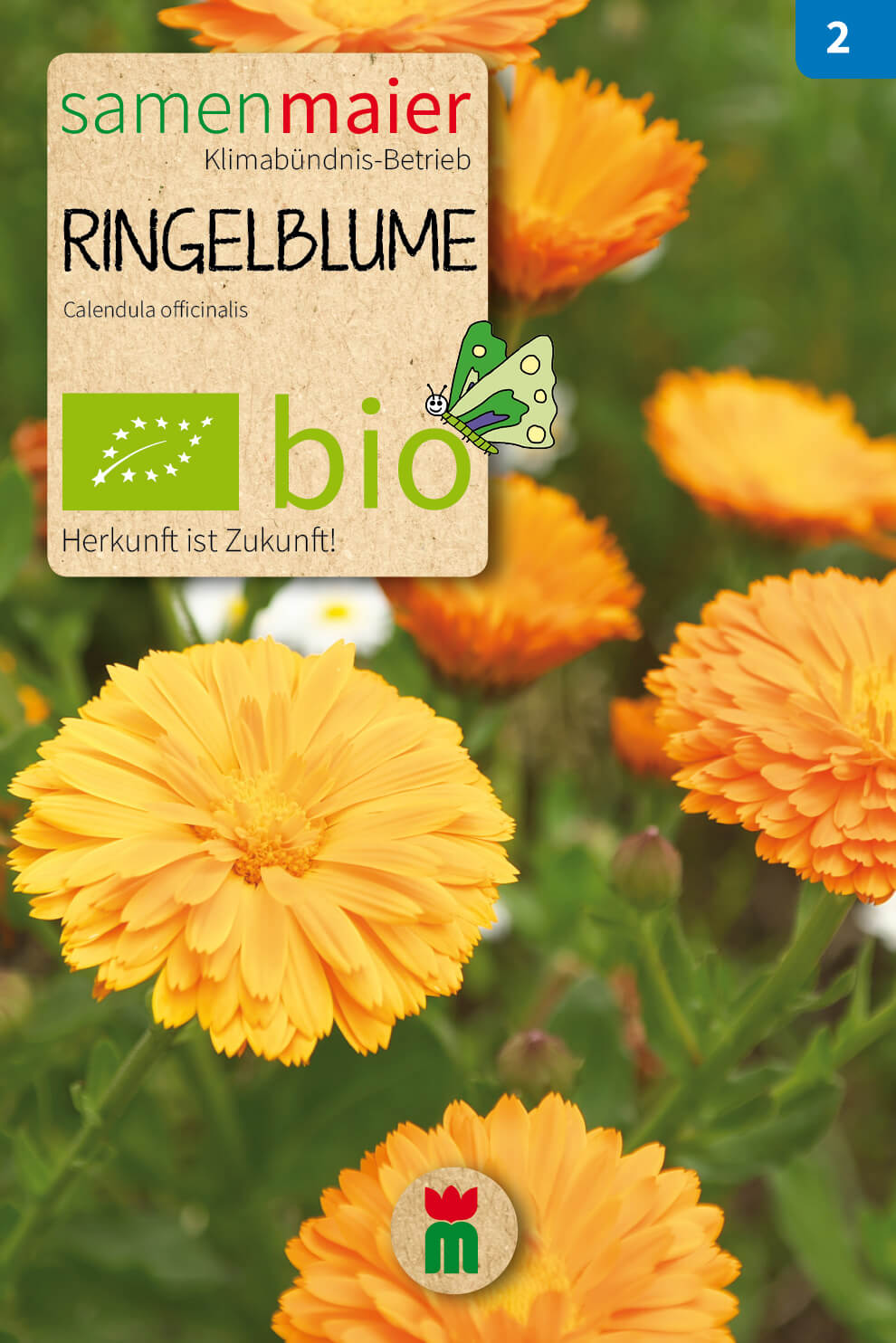 Artikelbild 5 von "BIO Beet-Box "Blüten aufs Teller!"" aus der Kategorie Samen-Sets