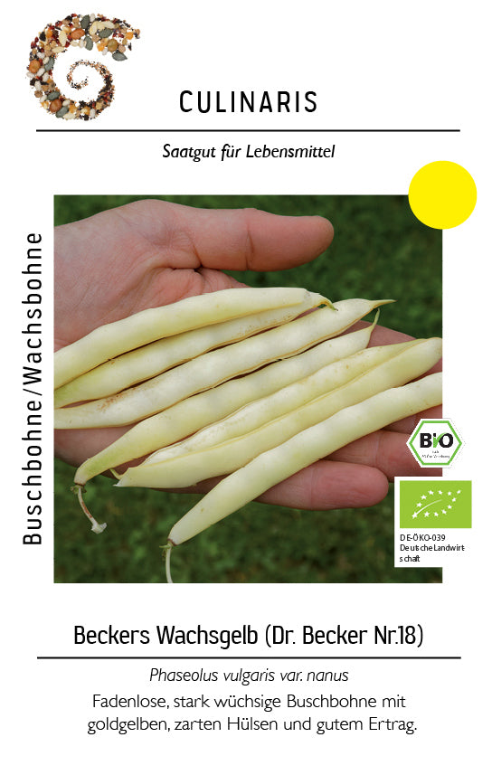 Artikelbild 2 von "BIO Buschbohne Beckers Wachsgelb" aus der Kategorie Buschbohnensamen