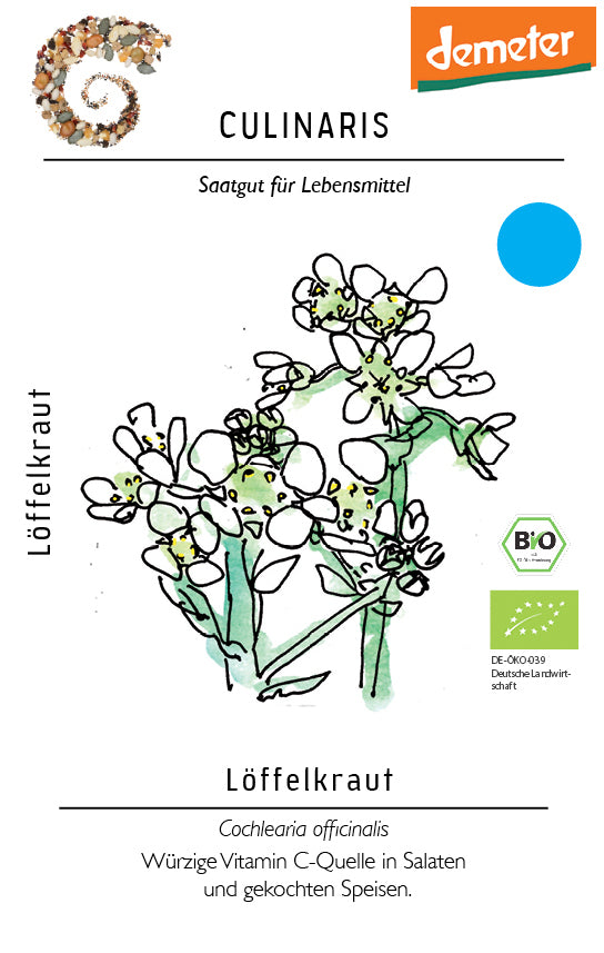 Artikelbild 1 von "BIO Löffelkraut" aus der Kategorie Kräutersamen