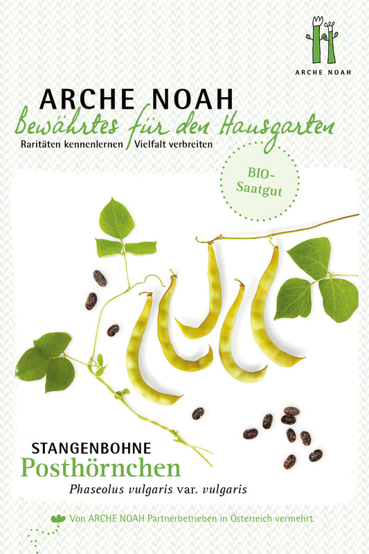 Artikelbild 1 von "Bio-Stangenbohne Posthörnchen" aus der Kategorie Stangenbohnensamen
