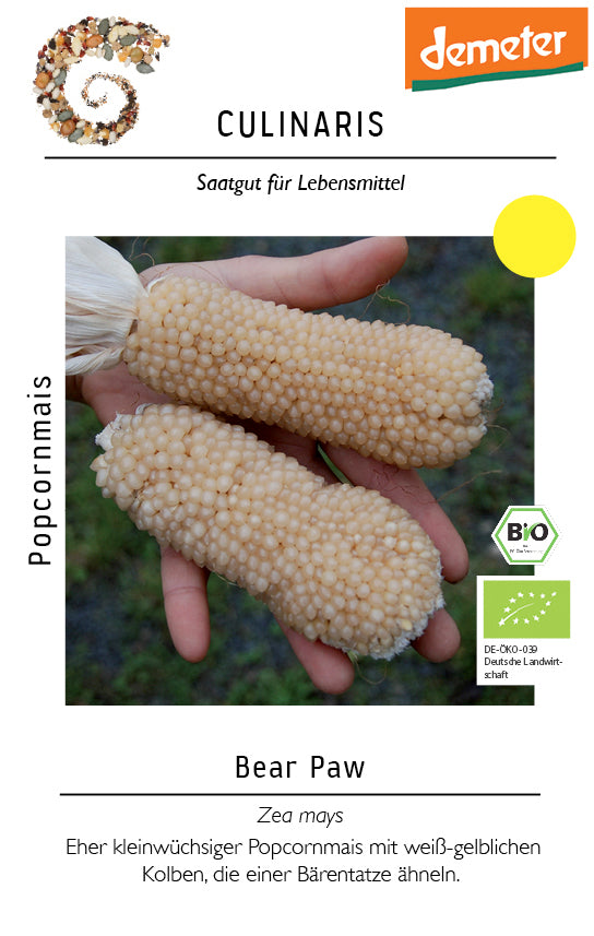 Artikelbild 1 von "BIO Popcornmais Bear Paw [MHD 01/2024]" aus der Kategorie Maissamen