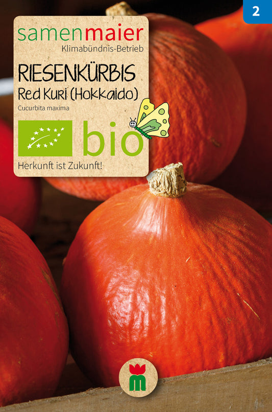 Artikelbild 1 von "BIO Kürbis Red Kuri" aus der Kategorie Kürbissamen