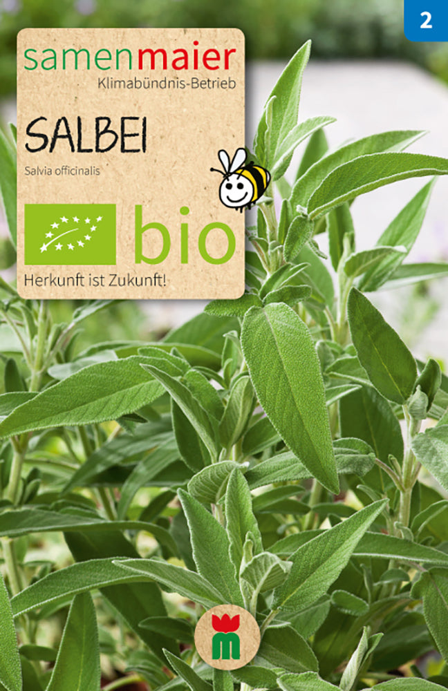 Artikelbild 1 von "BIO Salbei [MHD 12/2023]" aus der Kategorie Salbeisamen
