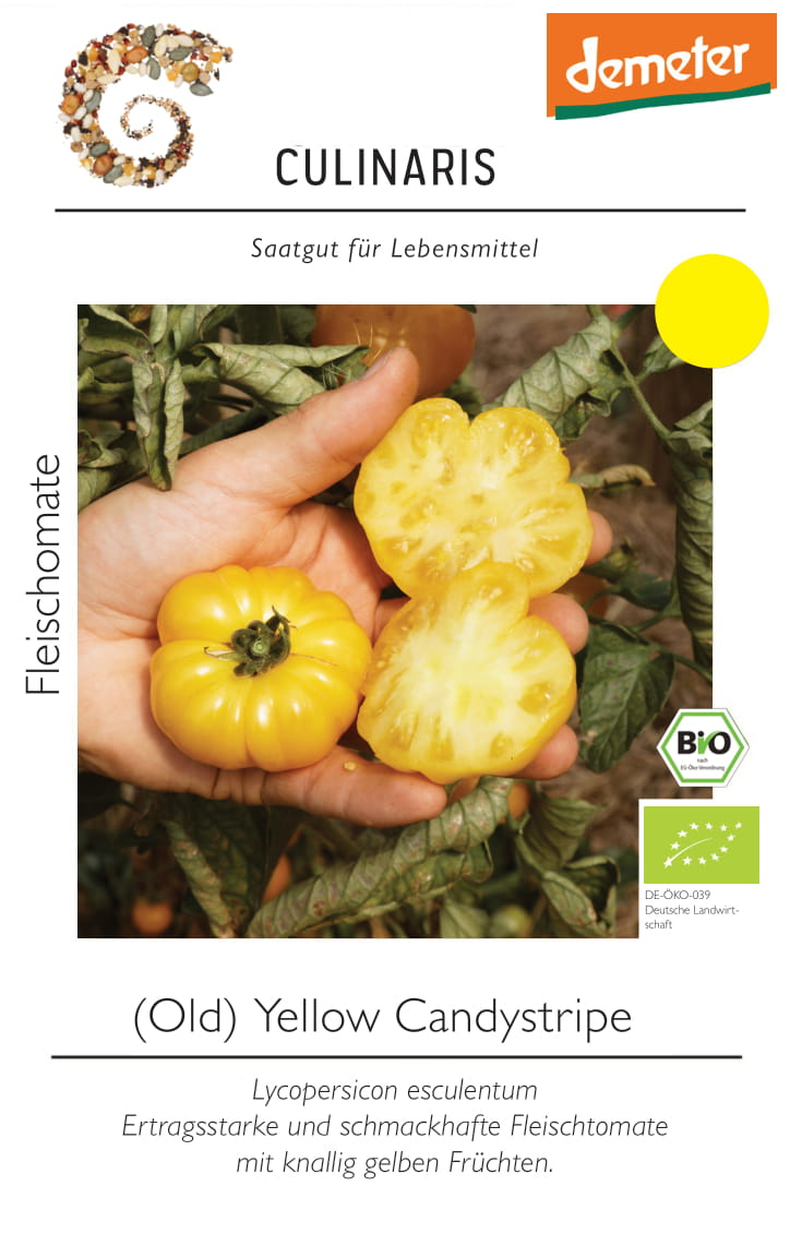 Artikelbild 1 von "BIO Fleischtomate Old Yellow Candystripe" aus der Kategorie Fleischtomatensamen