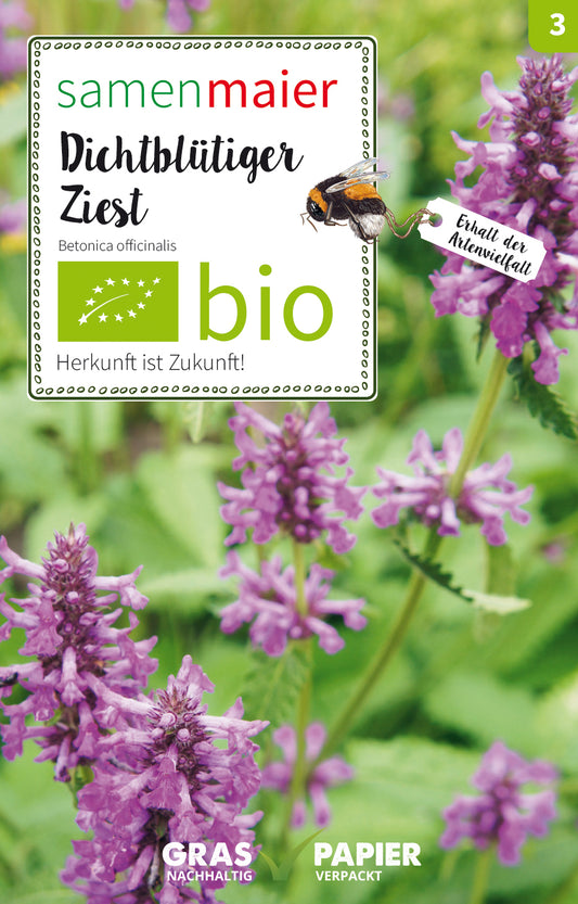 Dichtblütiger Ziest | BIO Wildblumensamen von Samen Maier