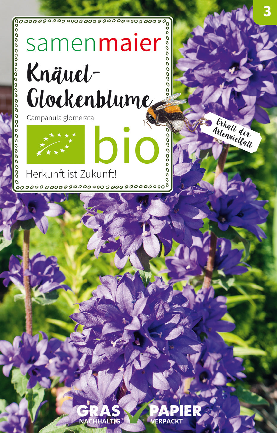 Knäuel-Glockenblume | BIO Glockenblumensamen von Samen Maier