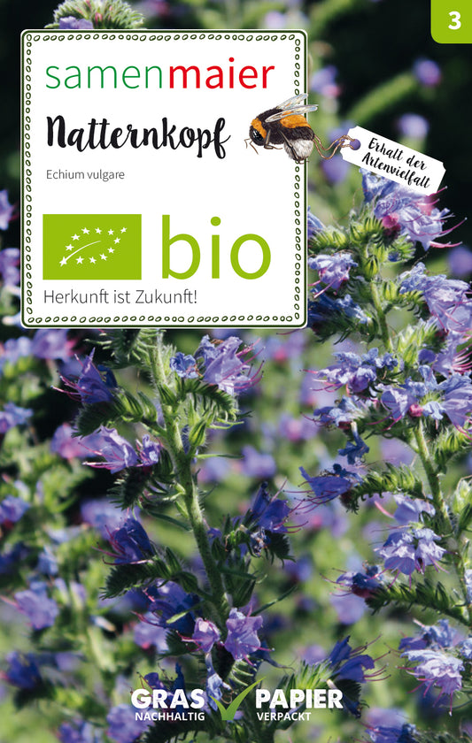 Natternkopf | BIO Wildblumensamen von Samen Maier