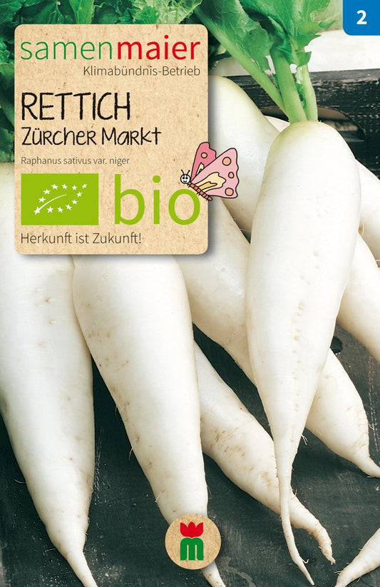 Artikelbild 1 von "BIO Rettich Zürcher Markt" aus der Kategorie Rettichsamen