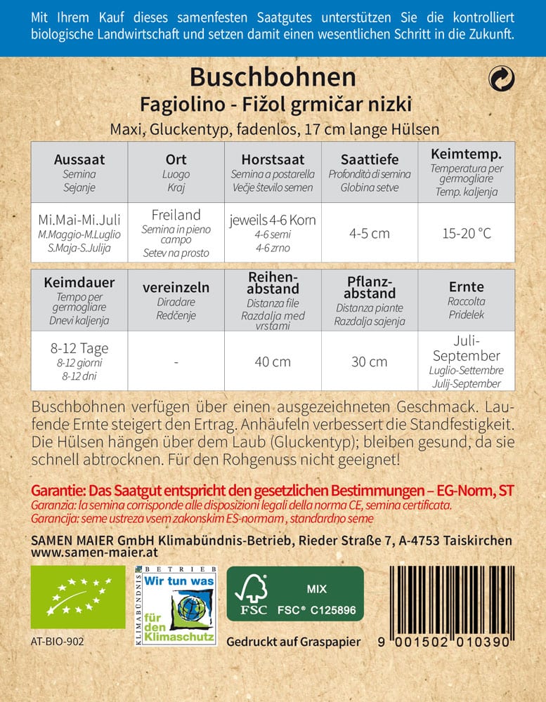 Artikelbild 2 von "BIO Buschbohne Maxi" aus der Kategorie Buschbohnensamen