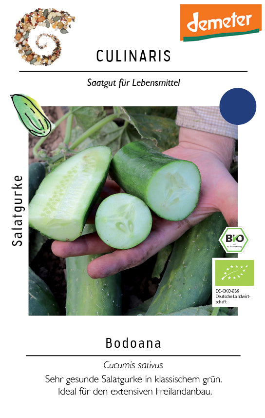 Artikelbild 1 von "BIO Salatgurke GU-4401" aus der Kategorie Gurkensamen