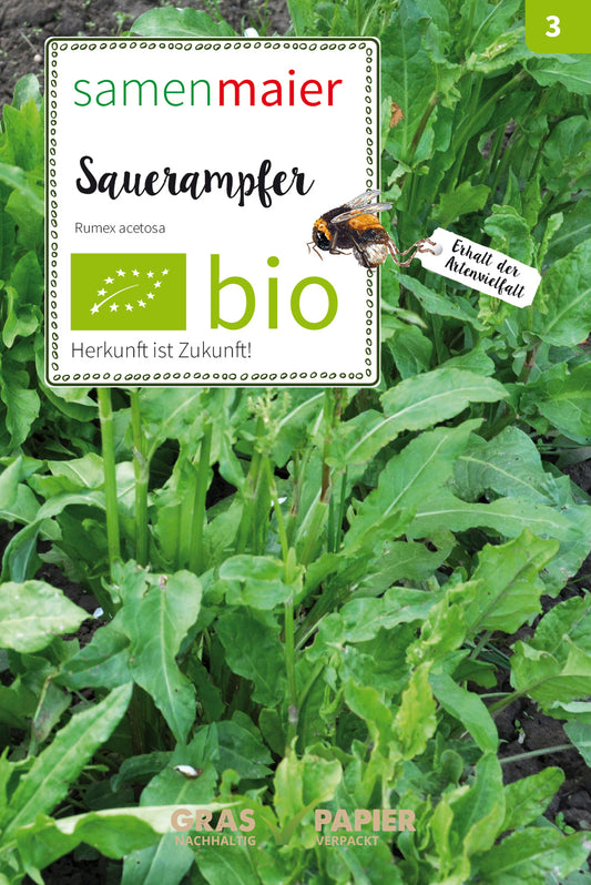 Wildblüte Sauerrampfer | BIO Sauerampfersamen von Samen Maier