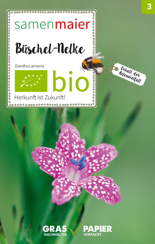Wildblüte Büschel - Nelke | BIO Nelkensamen von Samen Maier