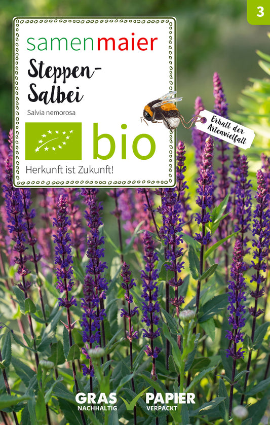 Wildblüte Steppen - Salbei | BIO Salbeisamen von Samen Maier