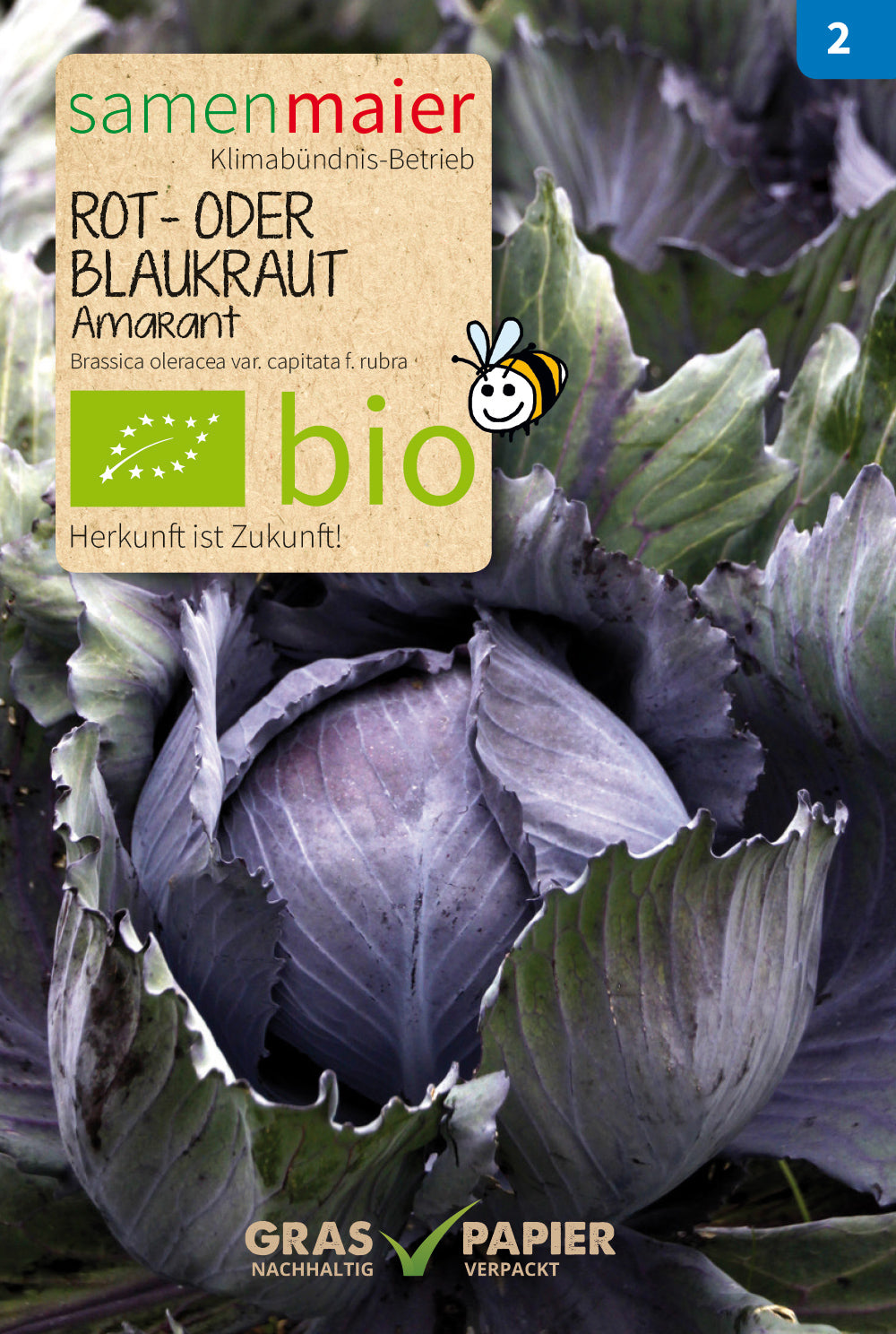 Artikelbild 1 von "BIO Rot - / Blaukraut Amaranth" aus der Kategorie Rotkohlsamen